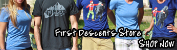 store widget 4